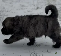 processed/ae13e971-6f9a-44f3-a714-9e8555a27c19/listing/94dcceb1-ed13-497f-b896-85a1d434f699/c1fb477c-ab92-4b7a-9eda-2f89197d15d7