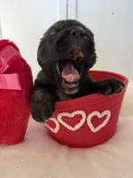 processed/ae13e971-6f9a-44f3-a714-9e8555a27c19/listing/94dcceb1-ed13-497f-b896-85a1d434f699/c69490c6-c230-44b5-8ddd-54e1c2cb20e5