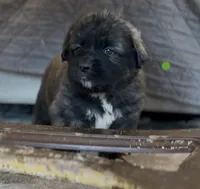 processed/ae13e971-6f9a-44f3-a714-9e8555a27c19/listing/94dcceb1-ed13-497f-b896-85a1d434f699/d0db4235-a0f2-47b2-8fb0-f16fde737132