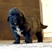 processed/ae13e971-6f9a-44f3-a714-9e8555a27c19/listing/94dcceb1-ed13-497f-b896-85a1d434f699/d68545bb-7e73-401e-97f5-38b2b392107d