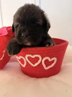 processed/ae13e971-6f9a-44f3-a714-9e8555a27c19/listing/94dcceb1-ed13-497f-b896-85a1d434f699/fd3ac174-97ed-4289-b585-708421ca18c7