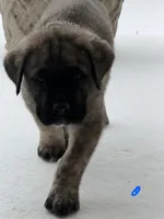 processed/ae13e971-6f9a-44f3-a714-9e8555a27c19/listing/b9f246fc-e708-4c81-a1a6-5385bdb70395/004dcc4f-0019-432e-85b0-4fe996491e84