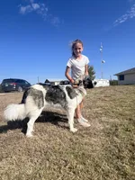 processed/ae13e971-6f9a-44f3-a714-9e8555a27c19/listing/b9f246fc-e708-4c81-a1a6-5385bdb70395/03c1c8ba-1bb4-443b-94b2-7671a730f6c1