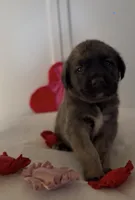 processed/ae13e971-6f9a-44f3-a714-9e8555a27c19/listing/b9f246fc-e708-4c81-a1a6-5385bdb70395/09639e92-e8cc-4e5b-88c7-311c5722a36b