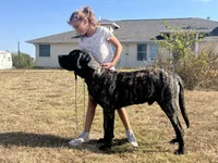 processed/ae13e971-6f9a-44f3-a714-9e8555a27c19/listing/b9f246fc-e708-4c81-a1a6-5385bdb70395/38874f95-7769-4775-a4d4-35d353de36fe