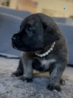 processed/ae13e971-6f9a-44f3-a714-9e8555a27c19/listing/b9f246fc-e708-4c81-a1a6-5385bdb70395/65b124ef-b0c9-4c59-bbe9-cbea0c3efff0