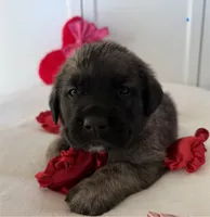 processed/ae13e971-6f9a-44f3-a714-9e8555a27c19/listing/b9f246fc-e708-4c81-a1a6-5385bdb70395/7408a711-b364-4883-b423-5816d9e2b47f