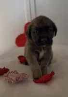 processed/ae13e971-6f9a-44f3-a714-9e8555a27c19/listing/b9f246fc-e708-4c81-a1a6-5385bdb70395/7e92aa40-2b97-48d3-8c27-76605c1cdee7