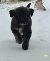 processed/ae13e971-6f9a-44f3-a714-9e8555a27c19/listing/e5a72f9b-55e9-44a4-b11f-7443f165e847/245fcbf1-d0a8-46d0-bfcb-7daefefab28c