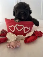 processed/ae13e971-6f9a-44f3-a714-9e8555a27c19/listing/e5a72f9b-55e9-44a4-b11f-7443f165e847/675b9b6b-bc19-4fac-a149-563fea20ad7f