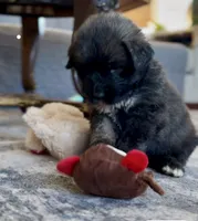 processed/ae13e971-6f9a-44f3-a714-9e8555a27c19/listing/e5a72f9b-55e9-44a4-b11f-7443f165e847/6fd18179-5989-4197-a024-f5fe80e84c54