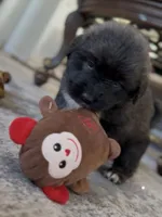 processed/ae13e971-6f9a-44f3-a714-9e8555a27c19/listing/e5a72f9b-55e9-44a4-b11f-7443f165e847/839b9484-62c9-4c04-952f-b86250d881ef