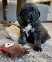 processed/ae13e971-6f9a-44f3-a714-9e8555a27c19/listing/e5a72f9b-55e9-44a4-b11f-7443f165e847/f32de2f8-359c-40e0-82bd-dfaf7500d65b