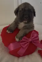 processed/ae13e971-6f9a-44f3-a714-9e8555a27c19/listing/fba46144-8483-4927-8248-bfc19b217618/1b72a38c-19a7-46f3-96b2-e4be044262be