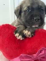 processed/ae13e971-6f9a-44f3-a714-9e8555a27c19/listing/fba46144-8483-4927-8248-bfc19b217618/375d679d-9b1e-4989-acb4-f5bb90c75406