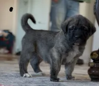 processed/ae13e971-6f9a-44f3-a714-9e8555a27c19/listing/fba46144-8483-4927-8248-bfc19b217618/653c2ae2-559f-4bec-9740-a68239b00256