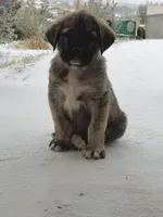 processed/ae13e971-6f9a-44f3-a714-9e8555a27c19/listing/fba46144-8483-4927-8248-bfc19b217618/e6c02e7a-92b2-4a4f-9de2-47cc0207de7d