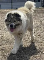 processed/ae14c025-1599-49b4-87d7-33cd6e256378/facility/0310b5ae-714b-4381-8f0b-08a2b0d302a5