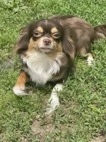 processed/ae14c025-1599-49b4-87d7-33cd6e256378/facility/087f1c73-269f-4e7d-8376-2b74edc9fc04