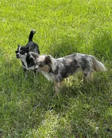 processed/ae14c025-1599-49b4-87d7-33cd6e256378/facility/2cd9c5e8-91aa-42ed-93f5-95e8980b70c7