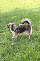 processed/ae14c025-1599-49b4-87d7-33cd6e256378/facility/3ab74db1-c975-44cb-931f-ddb52e968d7c