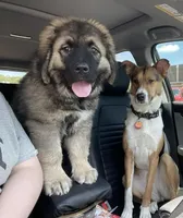 processed/ae14c025-1599-49b4-87d7-33cd6e256378/facility/9191a4a6-8c51-4719-94bc-82bbfbad121d