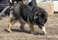 processed/ae14c025-1599-49b4-87d7-33cd6e256378/facility/a54b6378-2574-49a2-afcf-b6efdb1105d7