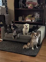 processed/ae14c025-1599-49b4-87d7-33cd6e256378/facility/afc8d16b-7721-4097-89c3-4419ba762330