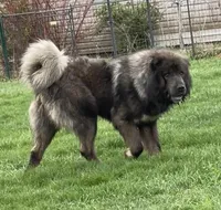 processed/ae14c025-1599-49b4-87d7-33cd6e256378/facility/b71ead73-7863-4759-9107-3951e040d902