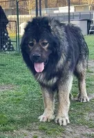 processed/ae14c025-1599-49b4-87d7-33cd6e256378/facility/df6e302a-d61f-4283-925f-8d3662b99969