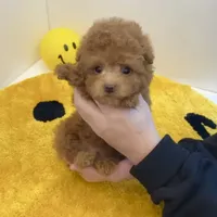 processed/ae1e3be0-9b41-49e6-bad7-cd7bc5f061e3/facility/17321a23-0cea-4021-b120-399680616006