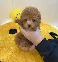 processed/ae1e3be0-9b41-49e6-bad7-cd7bc5f061e3/facility/17321a23-0cea-4021-b120-399680616006