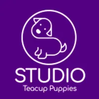 processed/ae1e3be0-9b41-49e6-bad7-cd7bc5f061e3/facility/5b14fdc9-f709-4f2b-935d-76cb8d653781