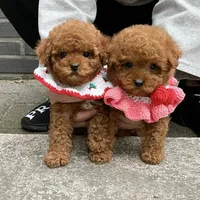 processed/ae1e3be0-9b41-49e6-bad7-cd7bc5f061e3/facility/5dadfcd3-6183-4bd8-8861-cd01e170d016