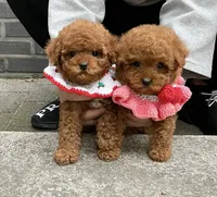 processed/ae1e3be0-9b41-49e6-bad7-cd7bc5f061e3/facility/5dadfcd3-6183-4bd8-8861-cd01e170d016