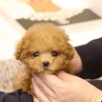 processed/ae1e3be0-9b41-49e6-bad7-cd7bc5f061e3/facility/69d4be3c-5793-4c6d-9dd9-b2cbe5d76dae