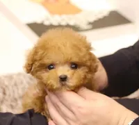 processed/ae1e3be0-9b41-49e6-bad7-cd7bc5f061e3/facility/69d4be3c-5793-4c6d-9dd9-b2cbe5d76dae