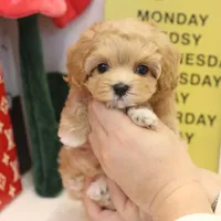 processed/ae1e3be0-9b41-49e6-bad7-cd7bc5f061e3/facility/893fa27c-33aa-48b5-bc52-36fca38968a9