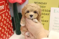 processed/ae1e3be0-9b41-49e6-bad7-cd7bc5f061e3/facility/893fa27c-33aa-48b5-bc52-36fca38968a9