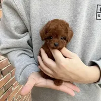 processed/ae1e3be0-9b41-49e6-bad7-cd7bc5f061e3/facility/94583f6b-ec89-4669-a045-5c7a5fcf45a7