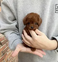 processed/ae1e3be0-9b41-49e6-bad7-cd7bc5f061e3/facility/94583f6b-ec89-4669-a045-5c7a5fcf45a7