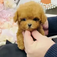 processed/ae1e3be0-9b41-49e6-bad7-cd7bc5f061e3/facility/bbb2d9ba-0c07-4208-a963-c513dd0d69b2