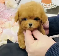 processed/ae1e3be0-9b41-49e6-bad7-cd7bc5f061e3/facility/bbb2d9ba-0c07-4208-a963-c513dd0d69b2