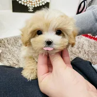 processed/ae1e3be0-9b41-49e6-bad7-cd7bc5f061e3/facility/cf6f4af9-bd98-4f12-9034-24a6d65b2c39