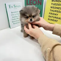 processed/ae1e3be0-9b41-49e6-bad7-cd7bc5f061e3/facility/d59465dd-f93b-44ad-84c1-e1c9924d838e