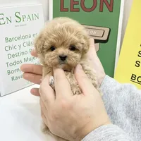 processed/ae1e3be0-9b41-49e6-bad7-cd7bc5f061e3/facility/f9e66401-56b9-4ec4-ae16-607a1fb3236d