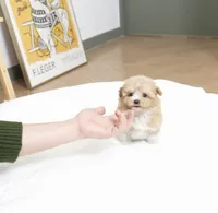 processed/ae1e3be0-9b41-49e6-bad7-cd7bc5f061e3/listing/929ce23e-1aa5-42c3-926e-99ce84b9f208/41a12a87-e25b-4406-8b39-b3ac9e7d98e4