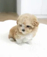 processed/ae1e3be0-9b41-49e6-bad7-cd7bc5f061e3/listing/929ce23e-1aa5-42c3-926e-99ce84b9f208/e45f3420-efcd-4157-923d-c813878e84f1