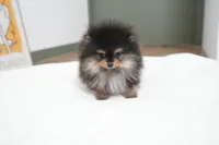 processed/ae1e3be0-9b41-49e6-bad7-cd7bc5f061e3/listing/adf65f53-6619-447b-b2de-7b79c22a9fe8/0d12d210-fd38-4b2d-b25c-7dc5433a0e81