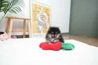 processed/ae1e3be0-9b41-49e6-bad7-cd7bc5f061e3/listing/adf65f53-6619-447b-b2de-7b79c22a9fe8/813b91fe-0a8b-49e1-afaa-d24c419662ca